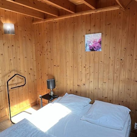 Chalet 4 Pieces A Cabourg Avec Jardin, Proche Piscine Et Tennis, Ideal Pour Familles, 6 Pers. Max - Fr-1-487-325 エクステリア 写真